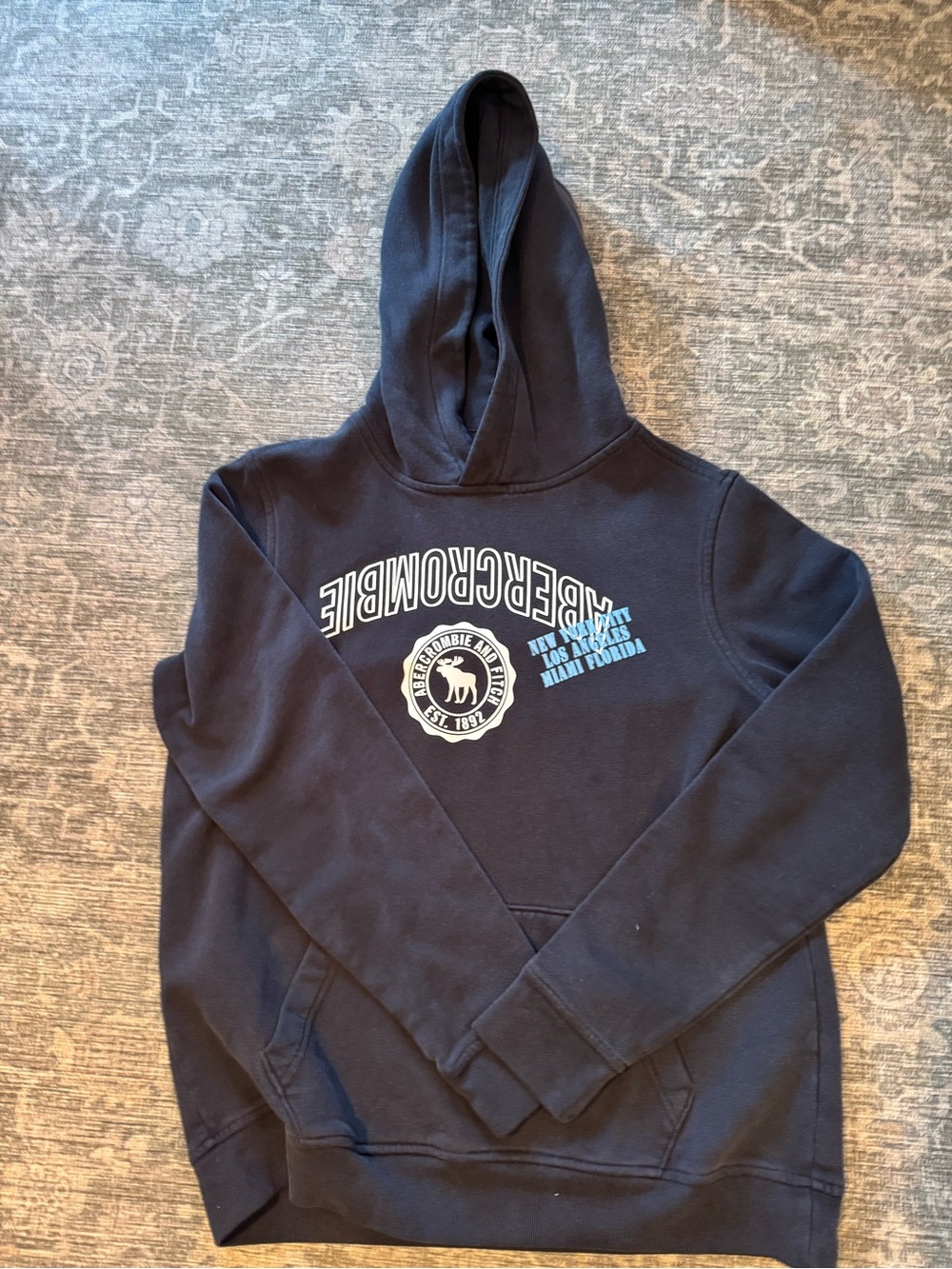 Abercrombie & Fitch 15/16 Navy Hoodie with White & Light Blue Graphics